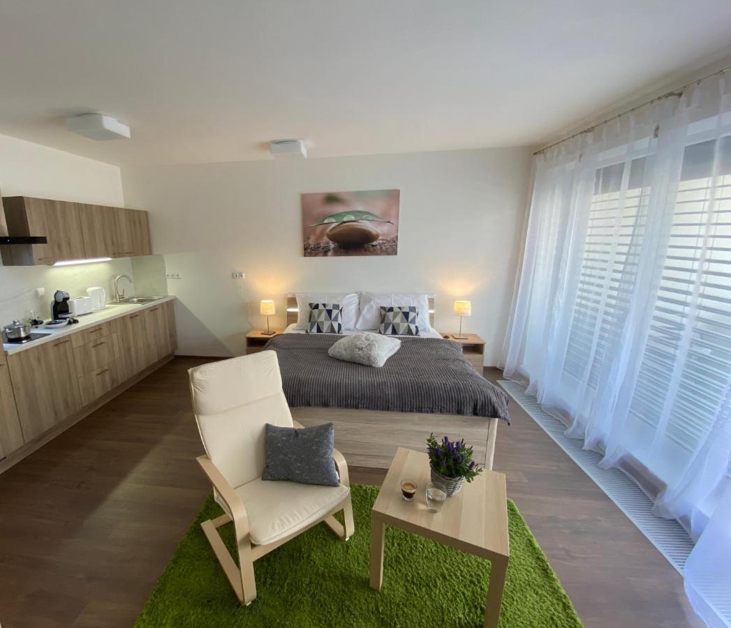 Apartmany Duo Trebon Bagian luar foto